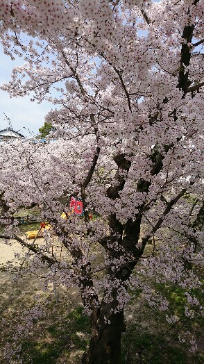 本町公園