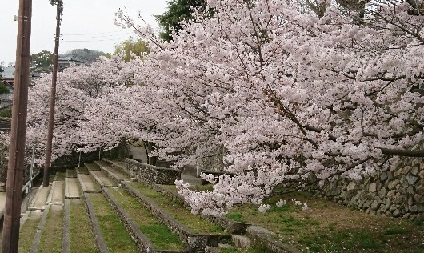 三原小学校グランド