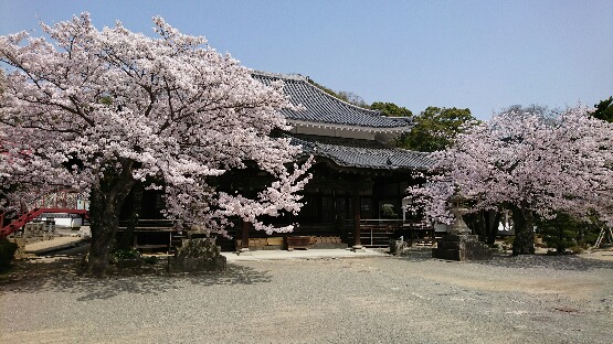 妙照寺