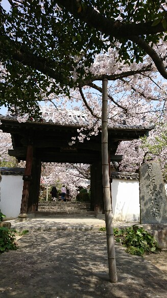 妙照寺