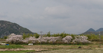 納所橋