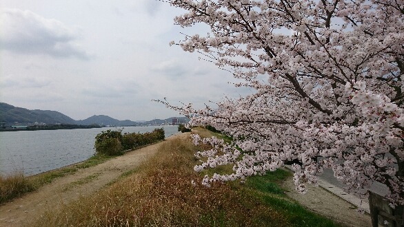 沼田川沿い